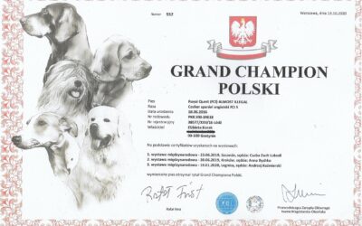 „Asgard” is Grand Polish Champion