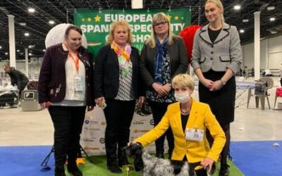 EUROPEAN DOG SHOW 2021 and EUROPEAN SPANIEL SPECIALITY CAC SHOW
