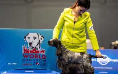 World Dog Show Zagreb Croatia