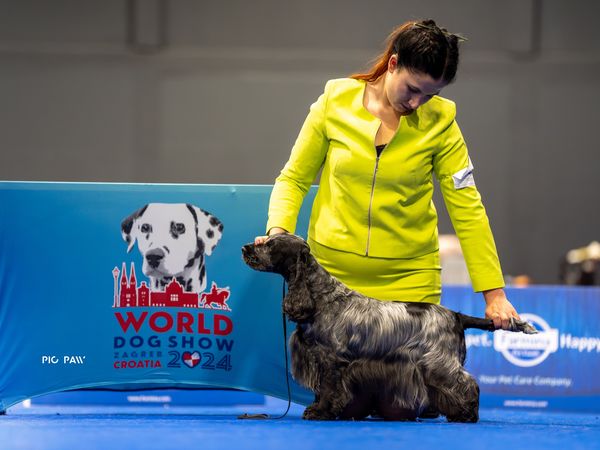 World Dog Show Zagreb Croatia