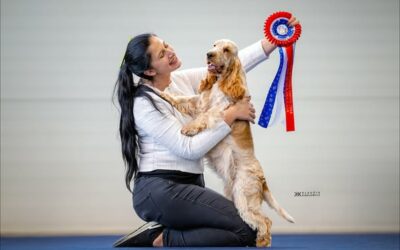 Euro Dog Show Slovenia 5.10.2024